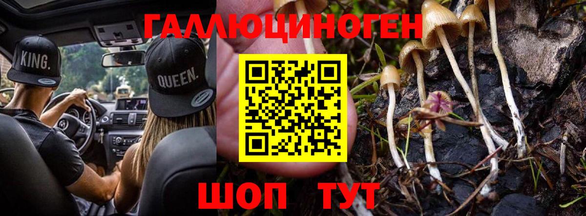 Краснокаменск  Псилоцибиновые грибы GOLDEN TEACHER  Вход с VPN 
