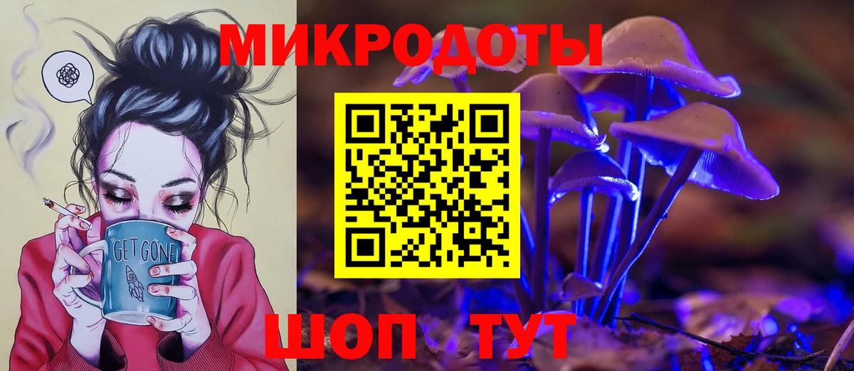 Галлюциногенные грибы Psilocybine cubensis Краснокаменск